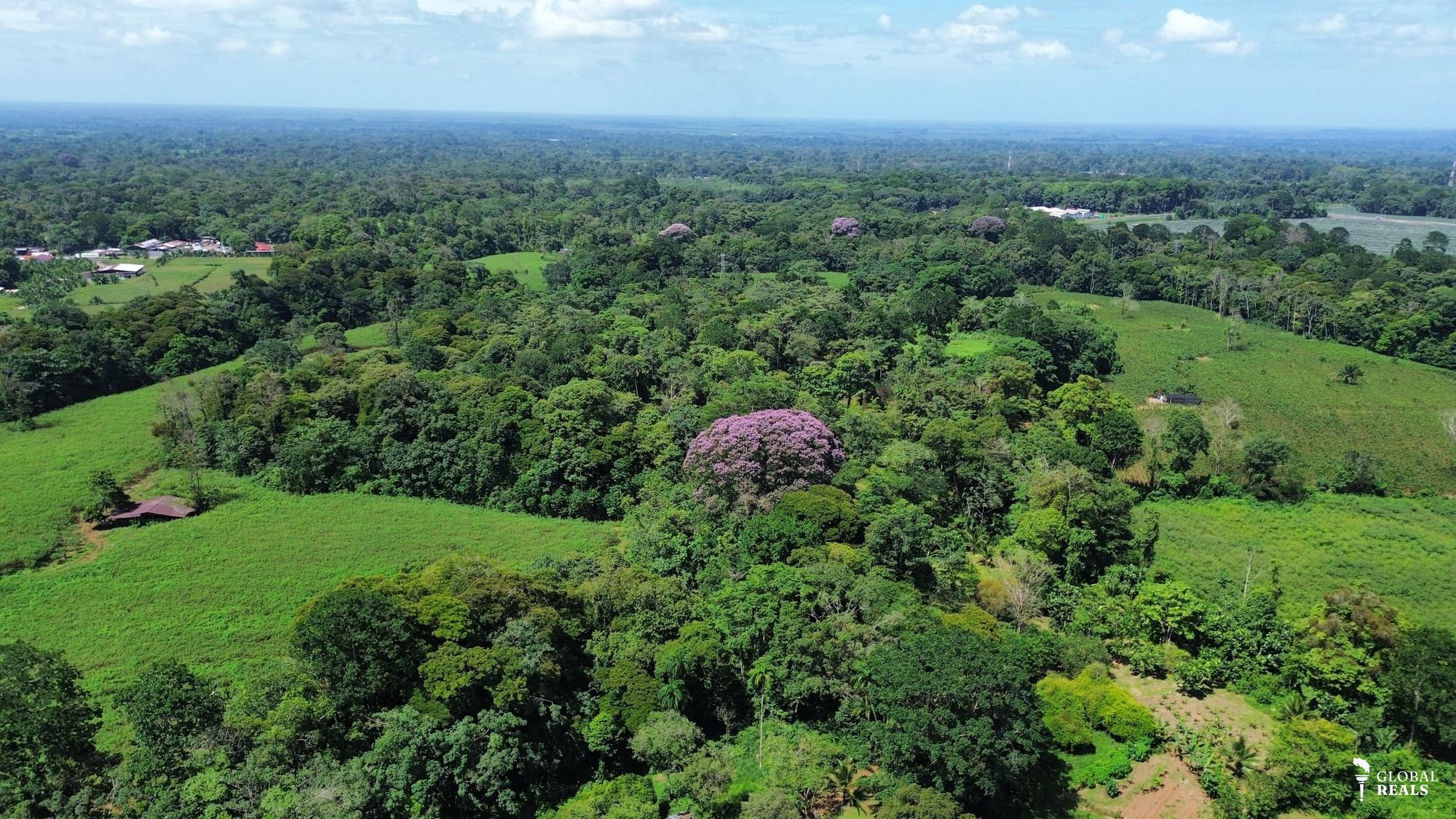 Vendo terreno con gran potencial comercial, Siquirres, Limón
