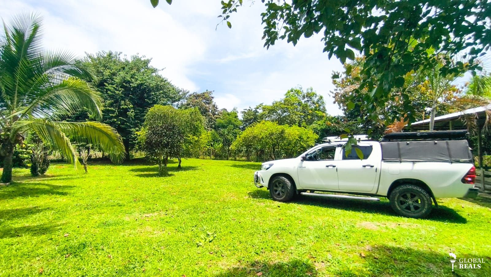 Vendo Finca con potencial, Louisina, Siquirres, Limón