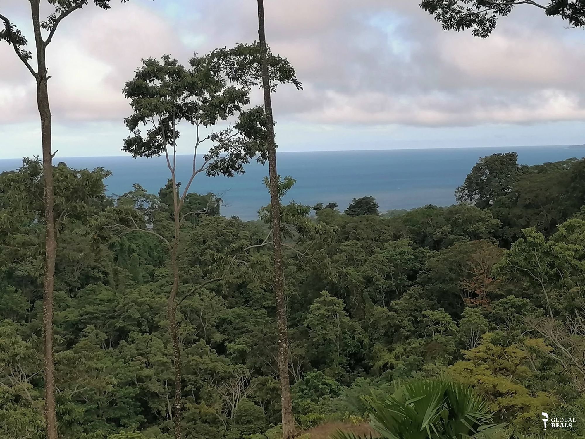 🌊SE VENDE FINCA ¡EL PARAÍSO EN EL CARIBE SUR DE COSTA RICA TE ESPERA! 🌊