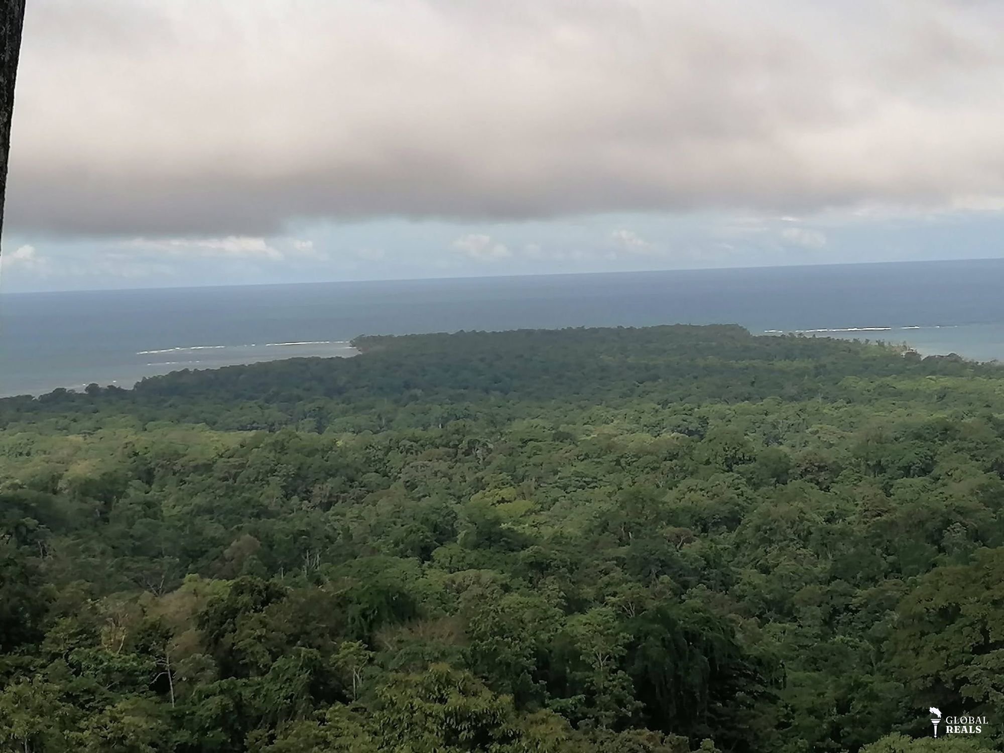 🌊SE VENDE FINCA ¡EL PARAÍSO EN EL CARIBE SUR DE COSTA RICA TE ESPERA! 🌊