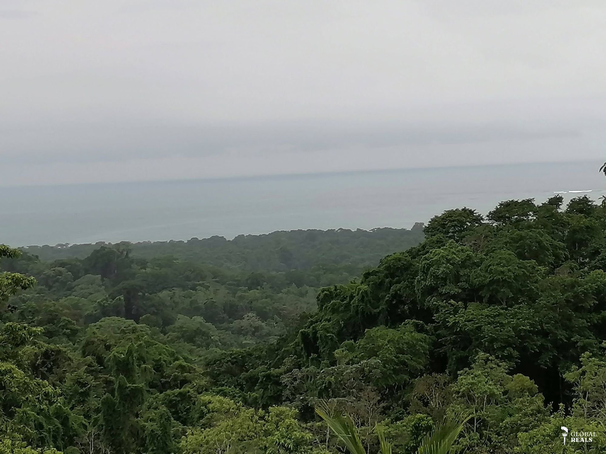 🌊SE VENDE FINCA ¡EL PARAÍSO EN EL CARIBE SUR DE COSTA RICA TE ESPERA! 🌊