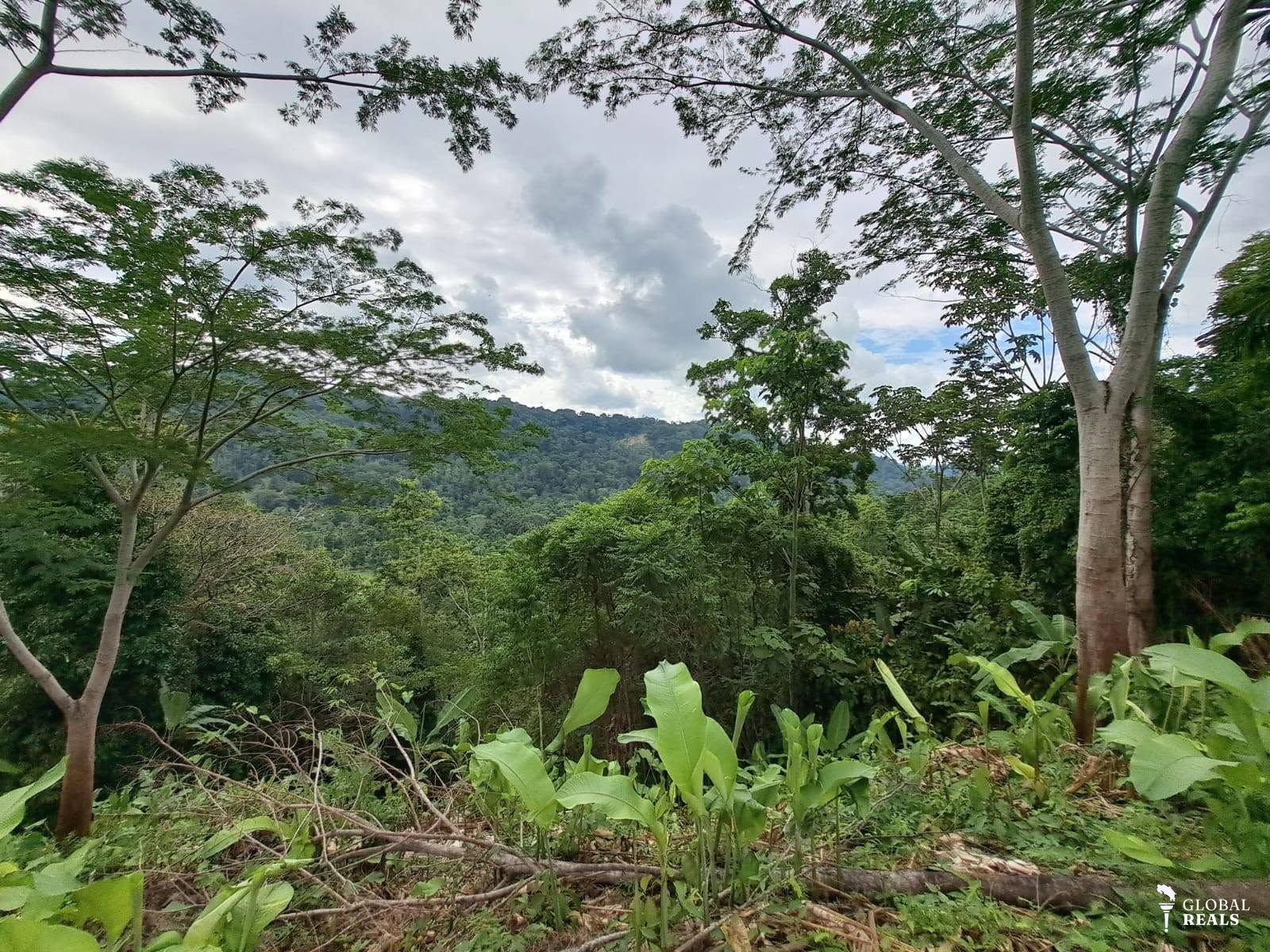 FINCA CON VISTA AL MAR EN EL CARIBE SUR