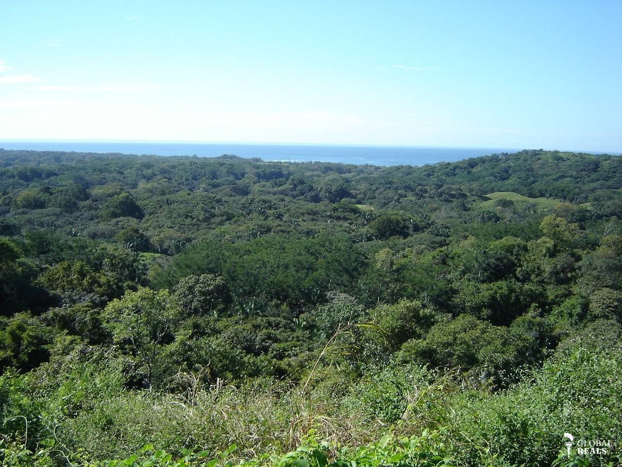 EXCLUSIVA FINCA EN OSTIONAL