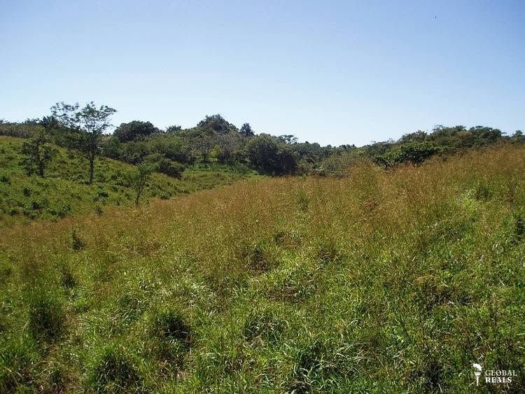 EXCLUSIVA FINCA EN OSTIONAL