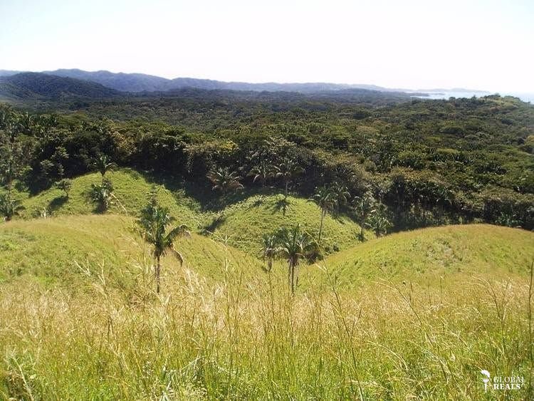 EXCLUSIVA FINCA EN OSTIONAL
