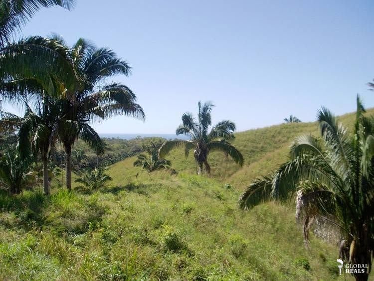 EXCLUSIVA FINCA EN OSTIONAL
