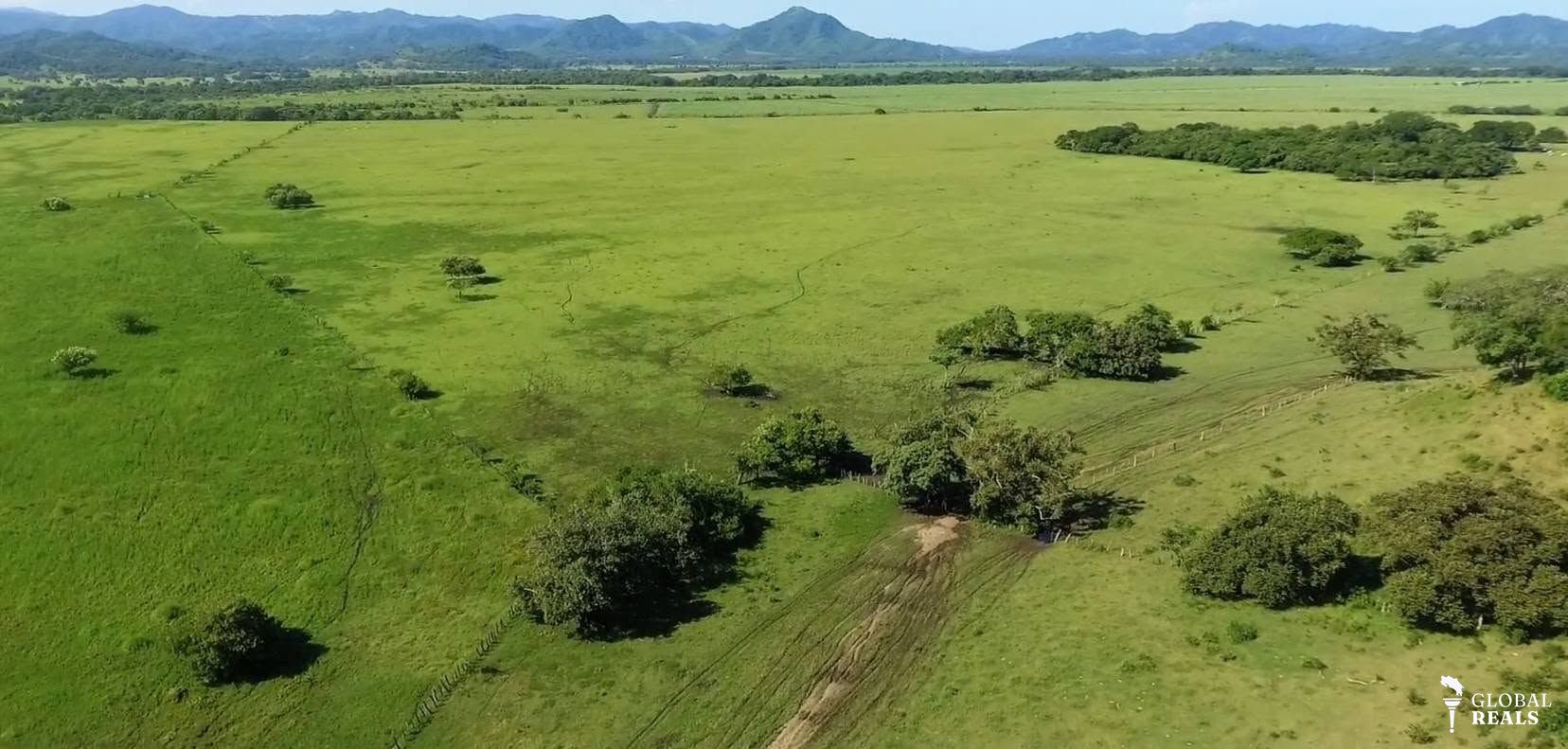 FINCA GANADERA CONSOLIDADA EN VENTA EN LAGUINILLA, SANTA CRUZ