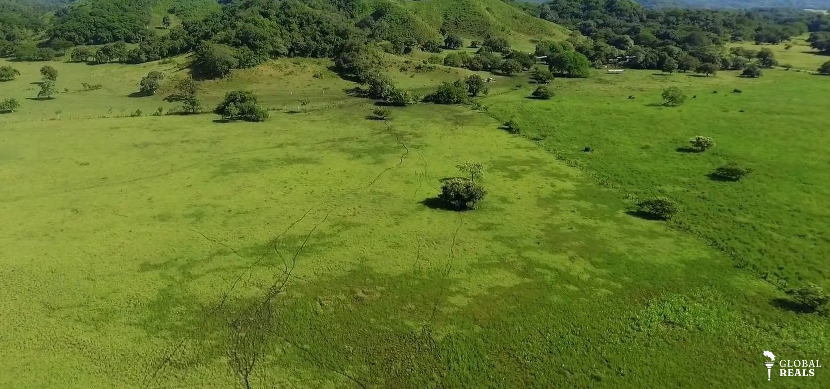 FINCA GANADERA CONSOLIDADA EN VENTA EN LAGUINILLA, SANTA CRUZ