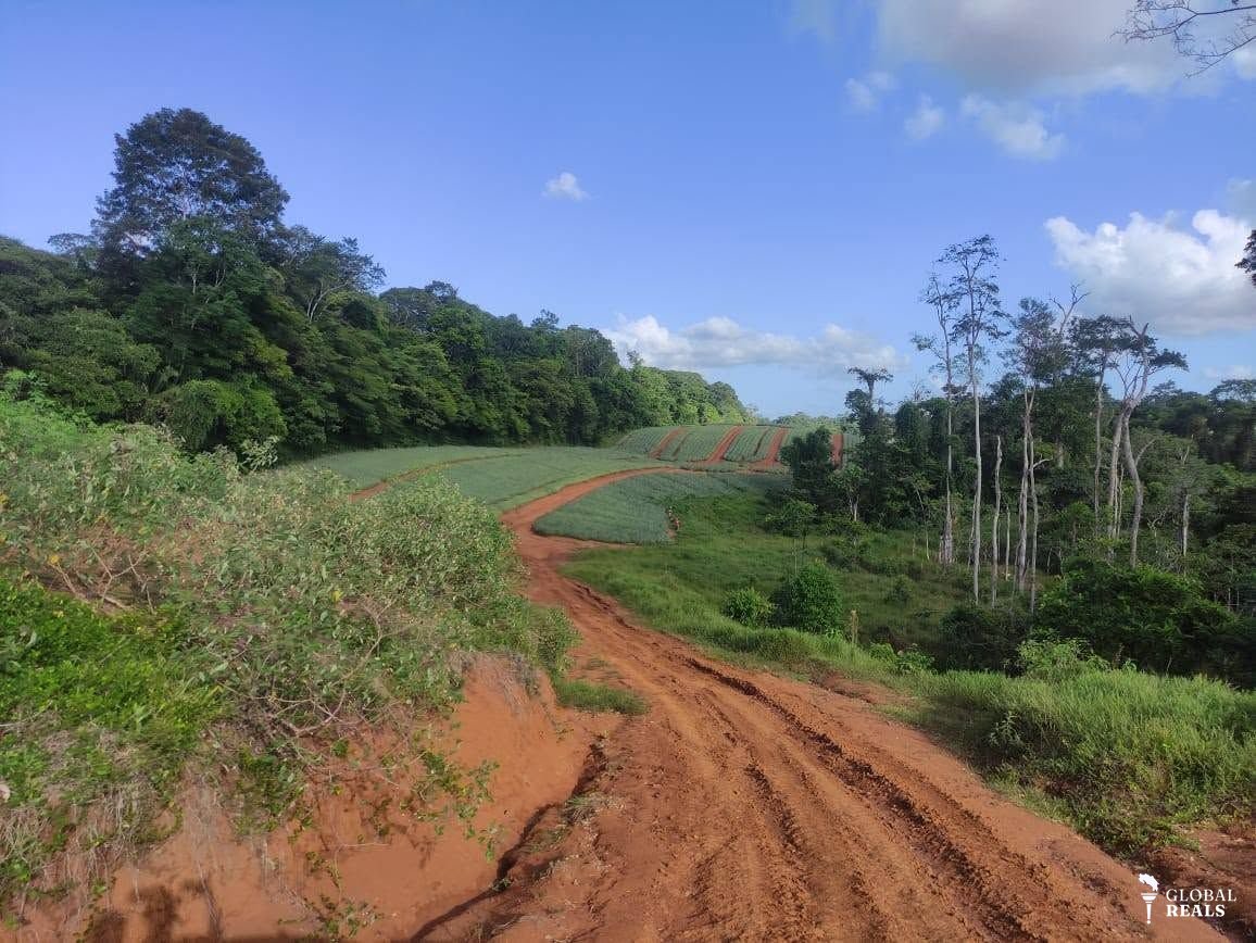 FINCA PRODUCTIVA PARA LA AGRICULTURA Y GANADERIA EN PUERTO VIEJO DE SARAPIQUI