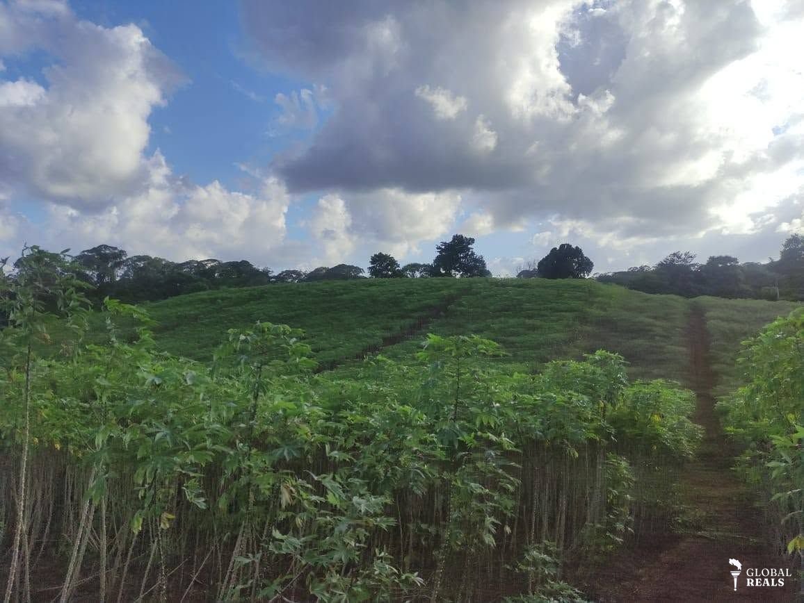 FINCA PRODUCTIVA PARA LA AGRICULTURA Y GANADERIA EN PUERTO VIEJO DE SARAPIQUI