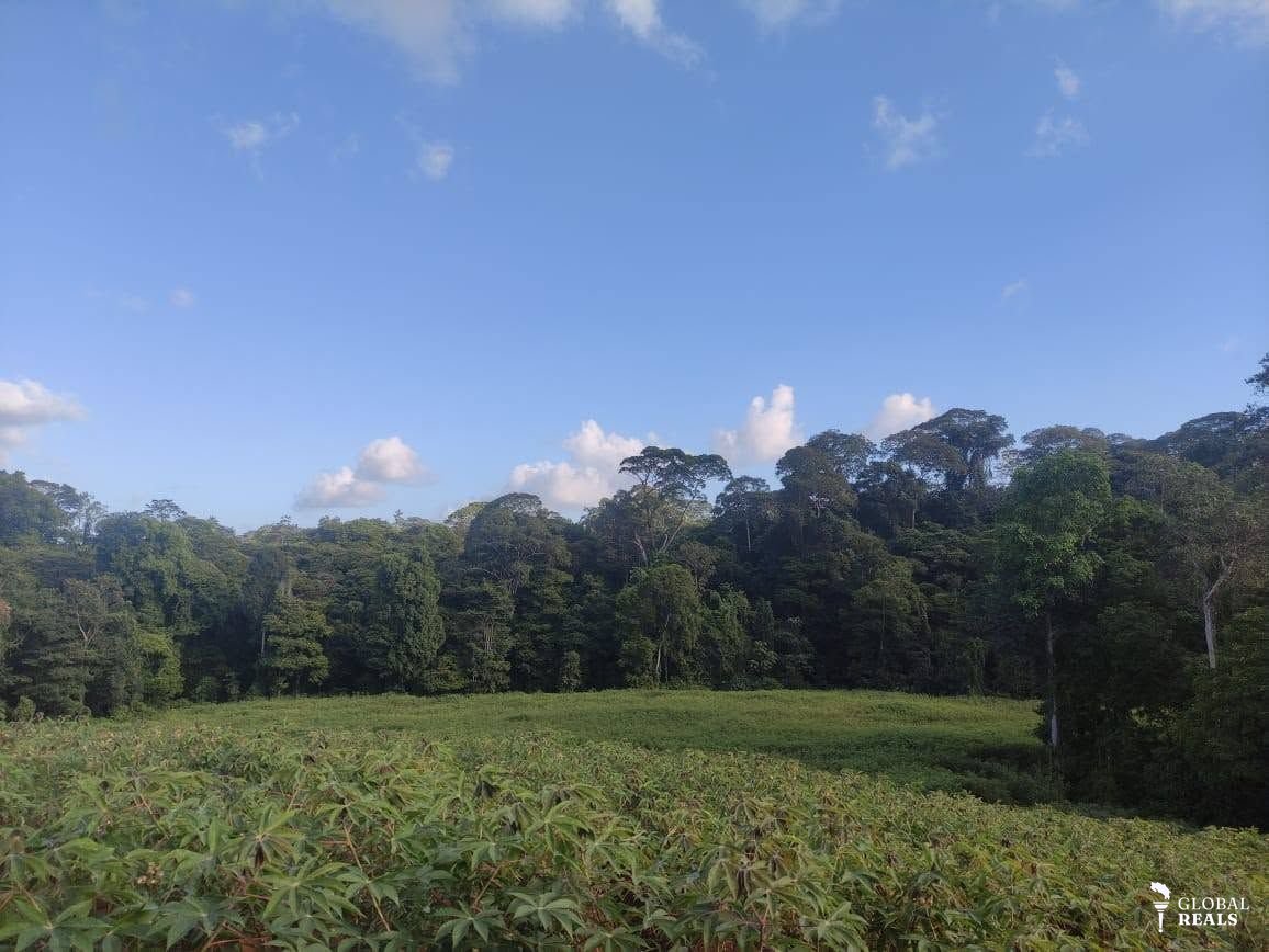 FINCA PRODUCTIVA PARA LA AGRICULTURA Y GANADERIA EN PUERTO VIEJO DE SARAPIQUI