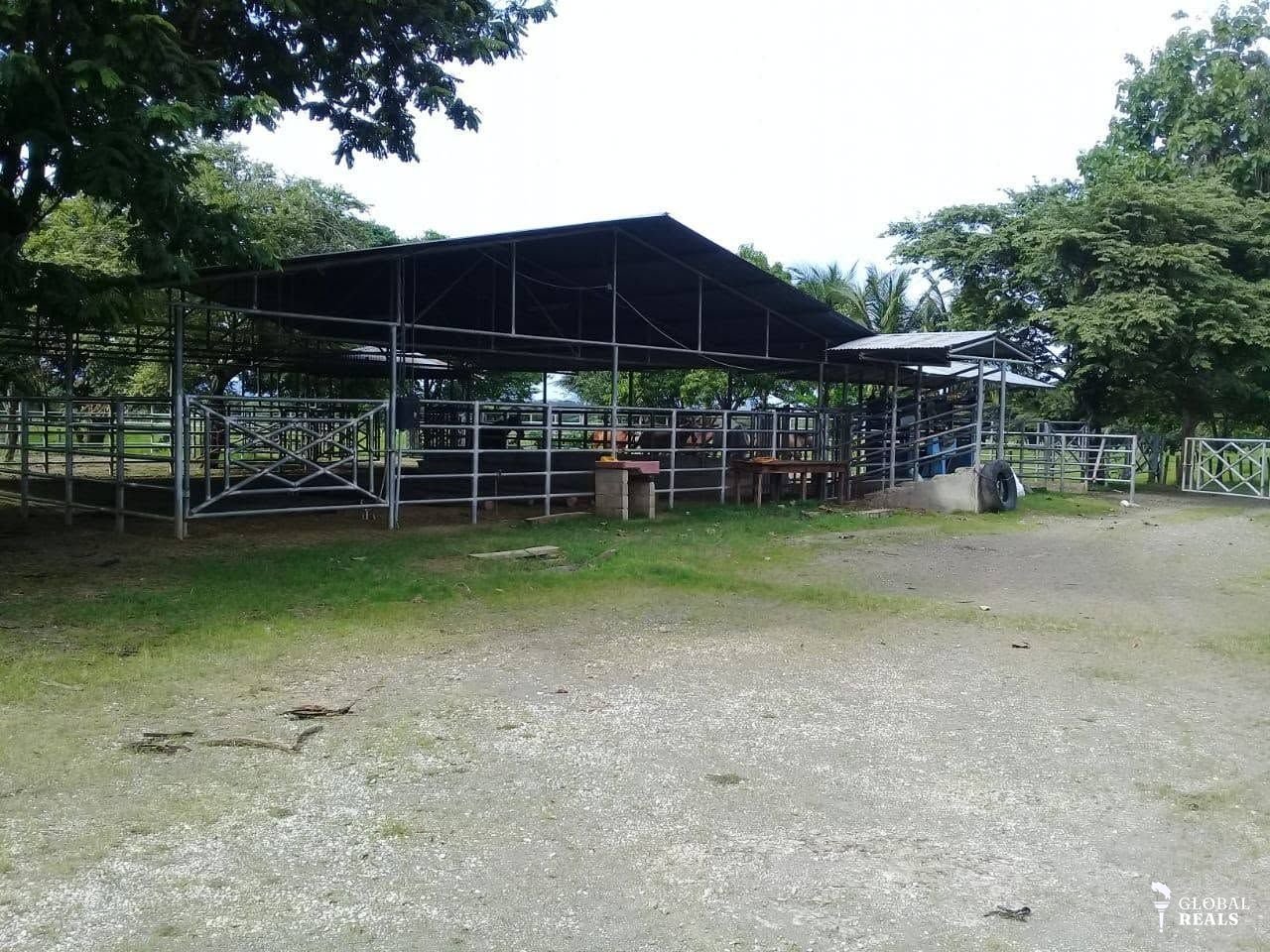 FINCA GANADERA 100% OPERATIVA EN SANTA CRUZ,GUANACASTE