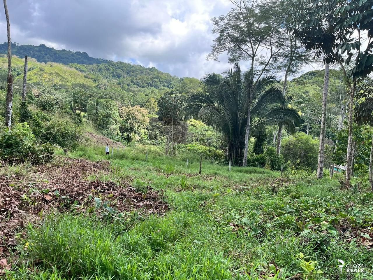 Propiedad en ciudad cortes