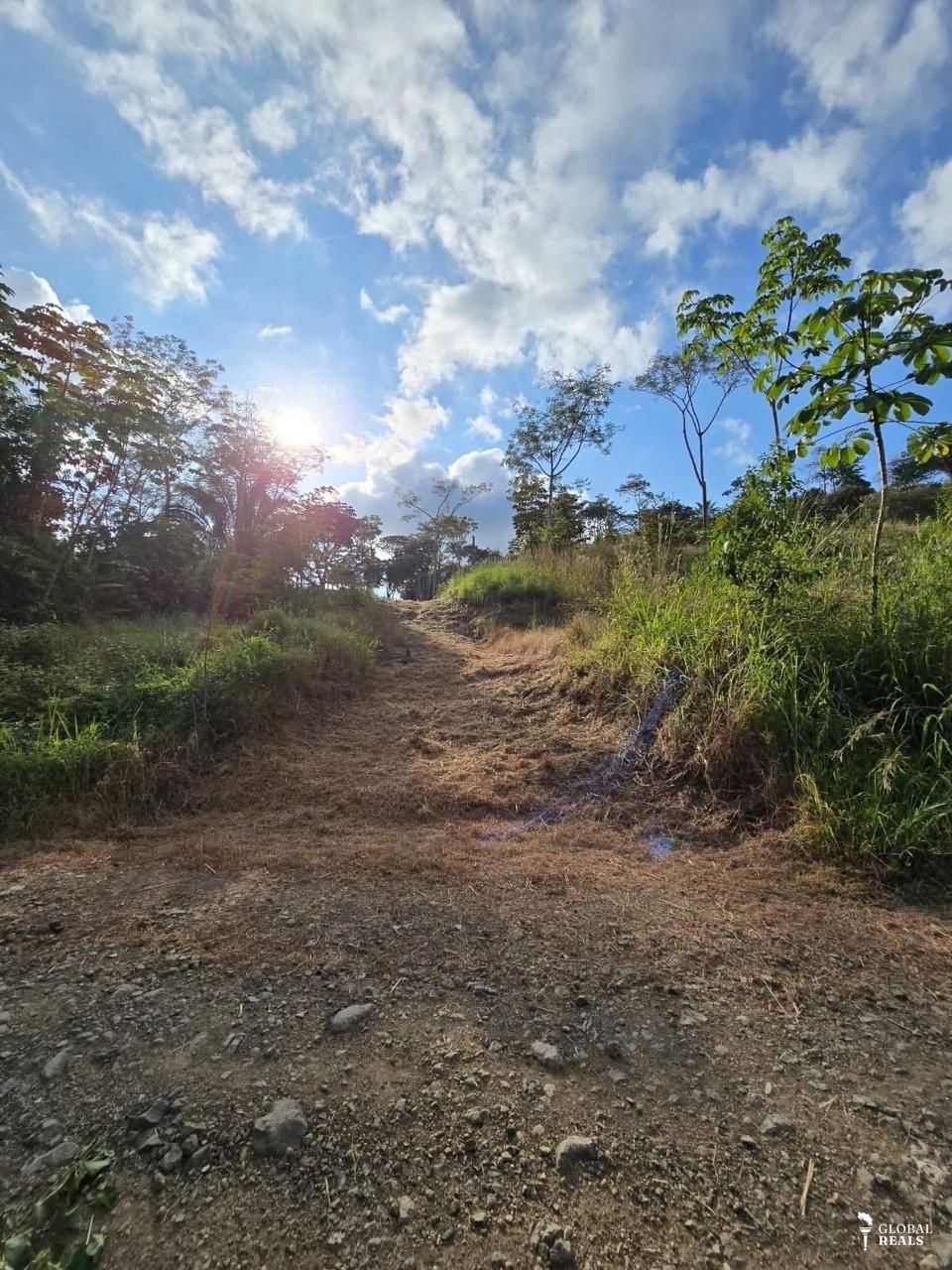 Propiedad en ciudad cortes