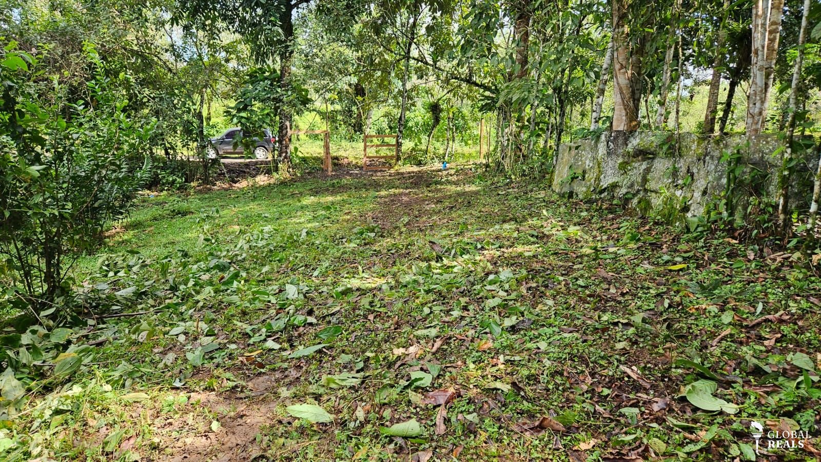 San Carlos La Orquidea