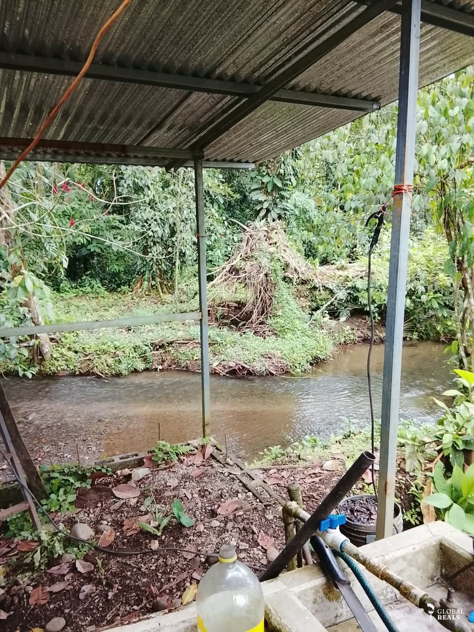 ¡OPORTUNIDAD DE CAMBIO EN GUÁCIMO DE LIMÓN! PROPIEDAD DE 7.505 m² CON NATURALEZA, AGUA, ELECTRICIDAD Y CONSTRUCCIONES