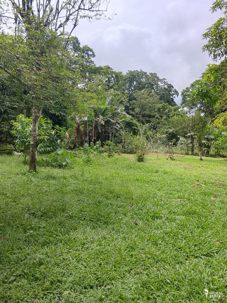 ¡OPORTUNIDAD DE CAMBIO EN GUÁCIMO DE LIMÓN! PROPIEDAD DE 7.505 m² CON NATURALEZA, AGUA, ELECTRICIDAD Y CONSTRUCCIONES