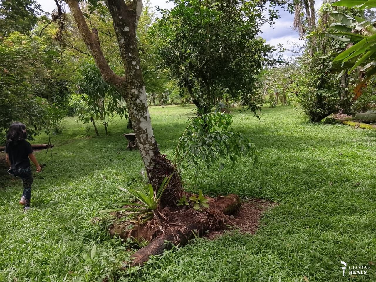 ¡OPORTUNIDAD DE CAMBIO EN GUÁCIMO DE LIMÓN! PROPIEDAD DE 7.505 m² CON NATURALEZA, AGUA, ELECTRICIDAD Y CONSTRUCCIONES