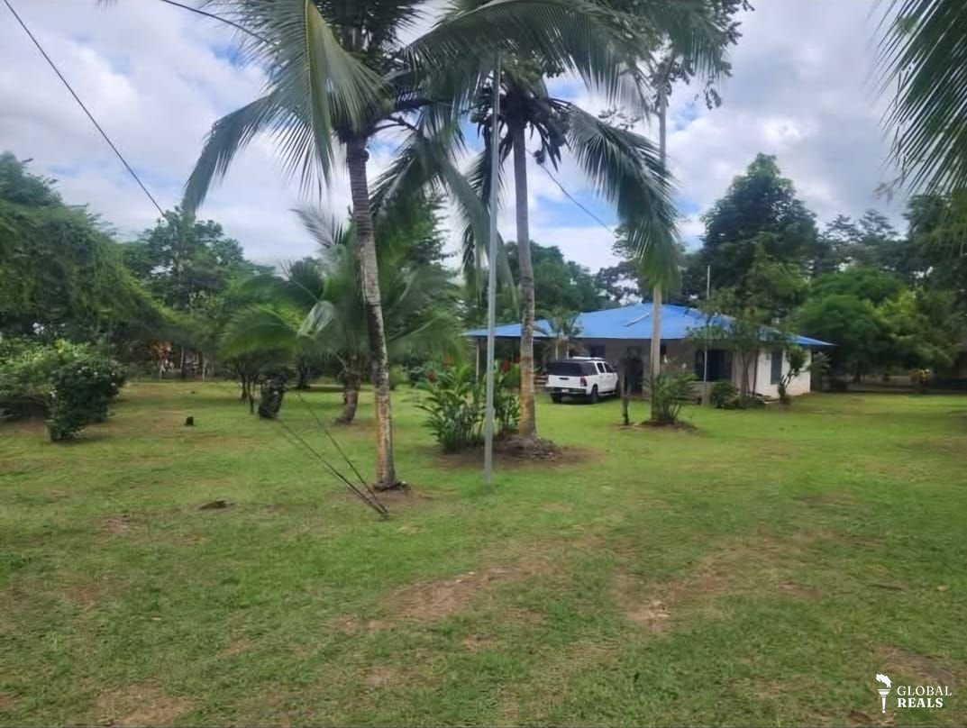 Finca en el Cairo de Siquirres