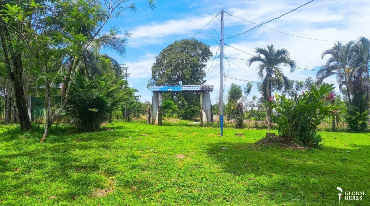 Finca en el Cairo de Siquirres