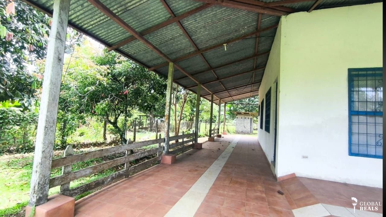 Finca en el Cairo de Siquirres