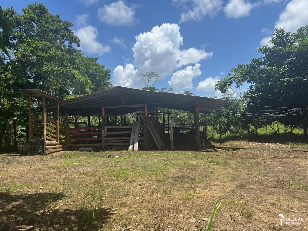 VENTA URGENTE | FINCA PRODUCTIVA EN QUEBRADÓN DE UPALA