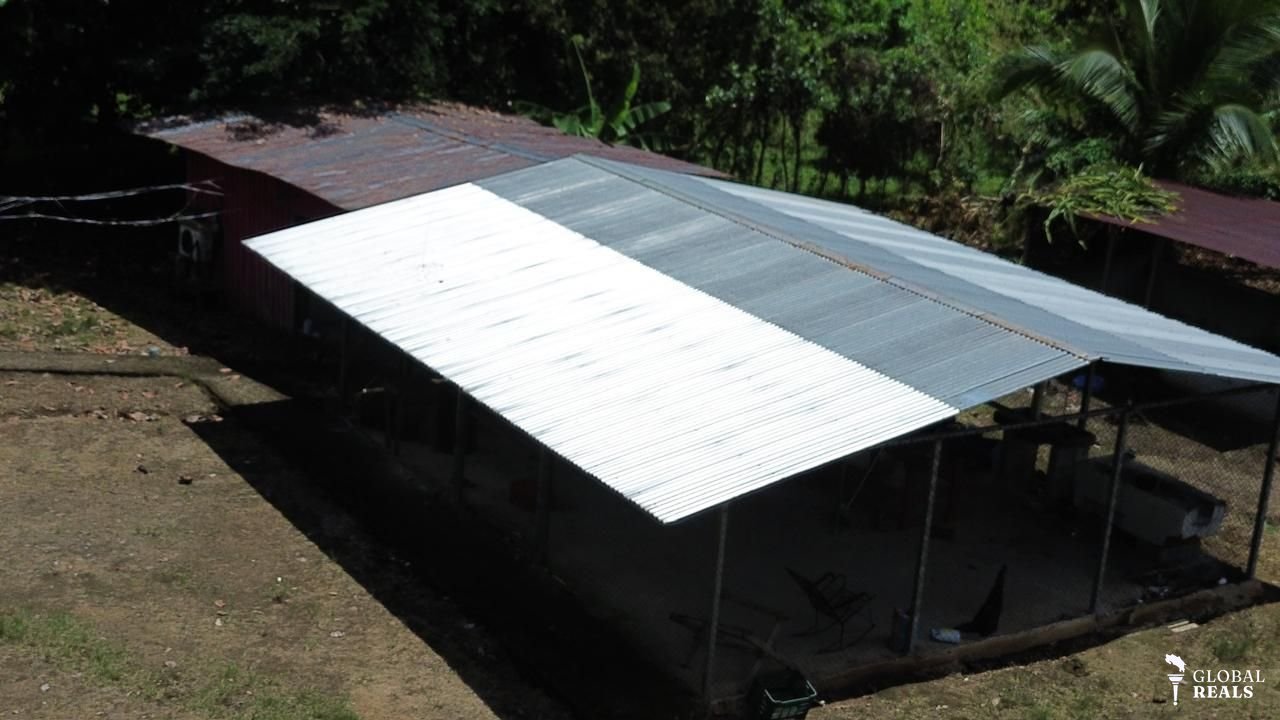 VENTA URGENTE | FINCA PRODUCTIVA EN QUEBRADÓN DE UPALA