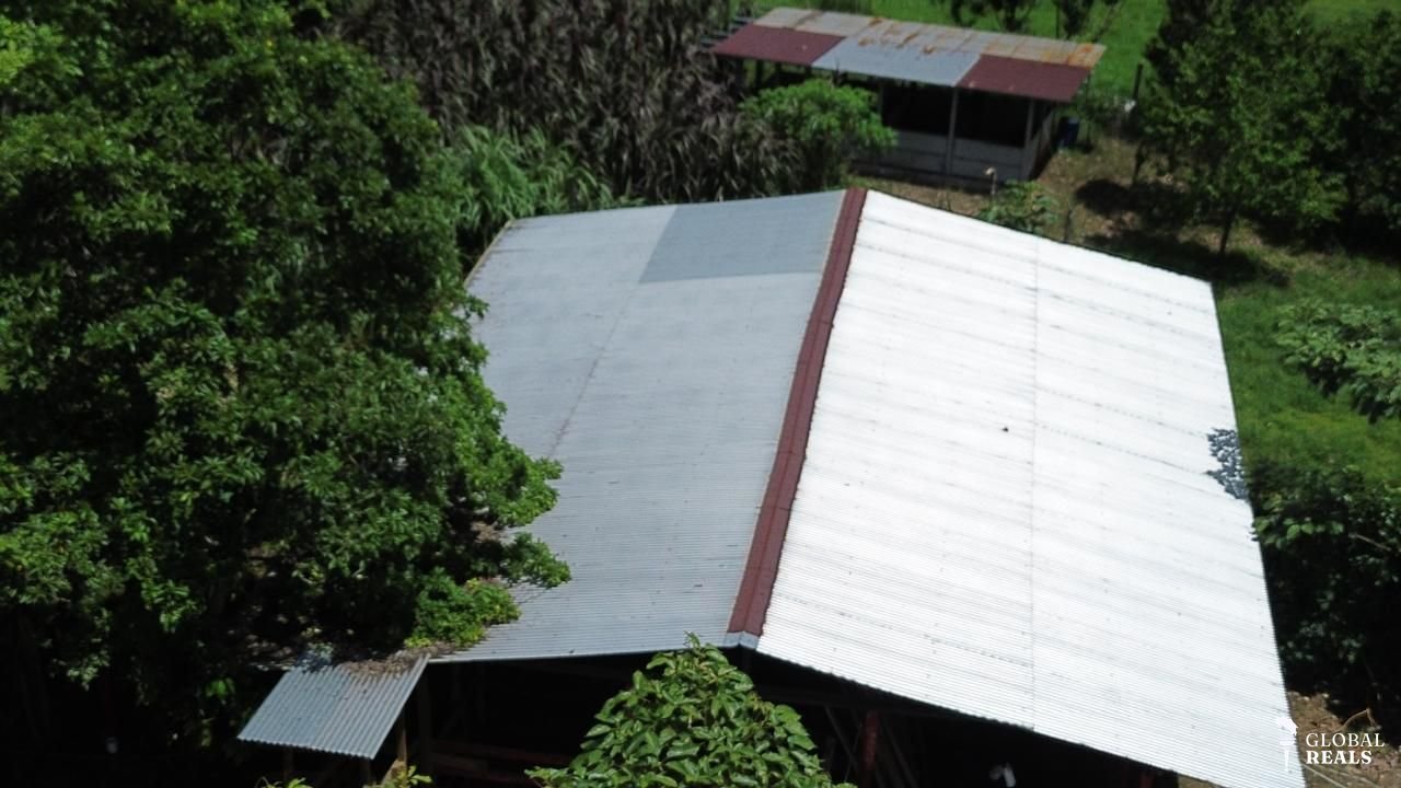 VENTA URGENTE | FINCA PRODUCTIVA EN QUEBRADÓN DE UPALA