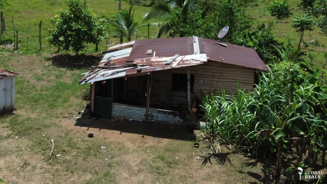 VENTA URGENTE | FINCA PRODUCTIVA EN QUEBRADÓN DE UPALA