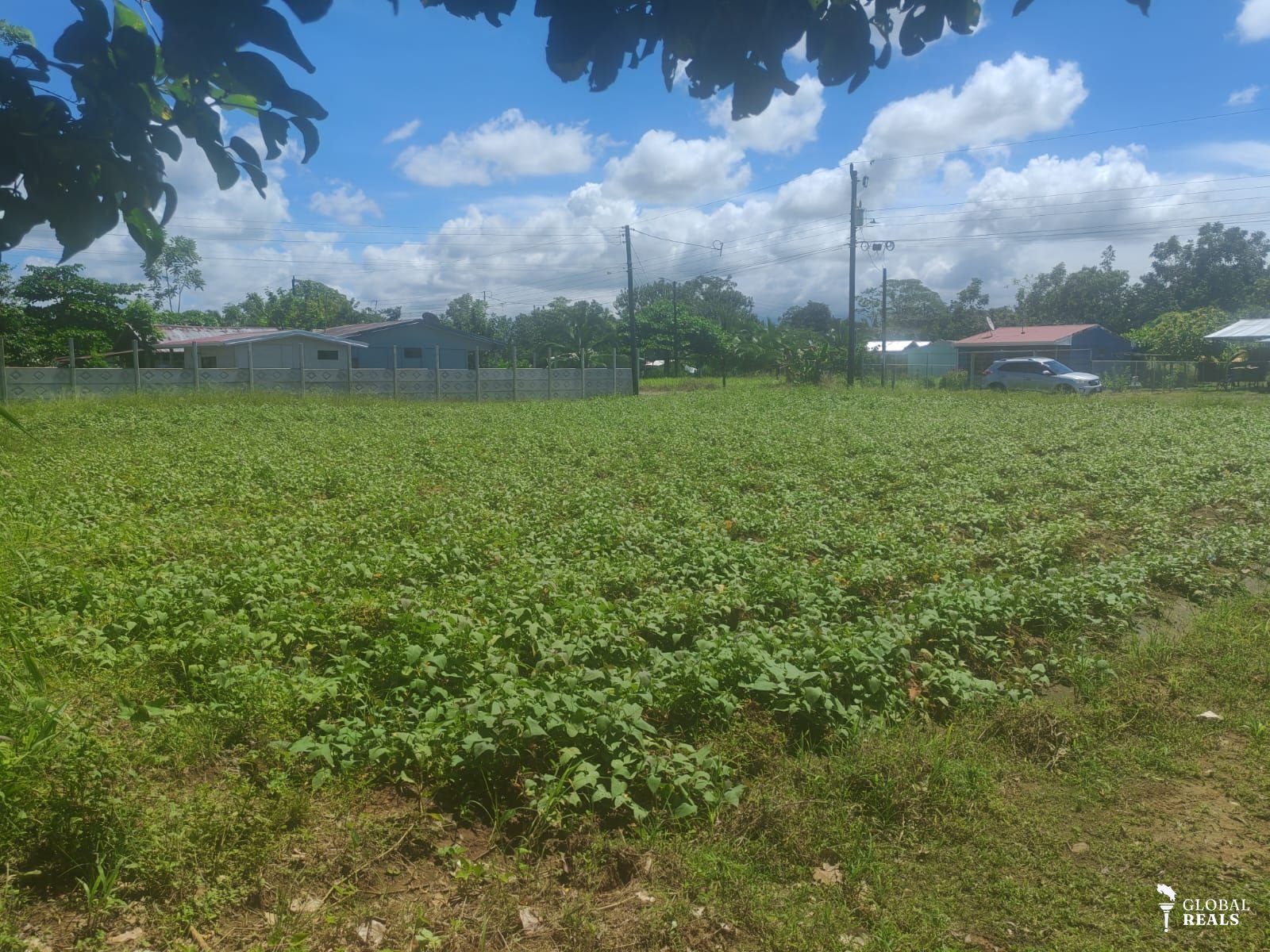 Lindo lote en la Vega de San Carlos