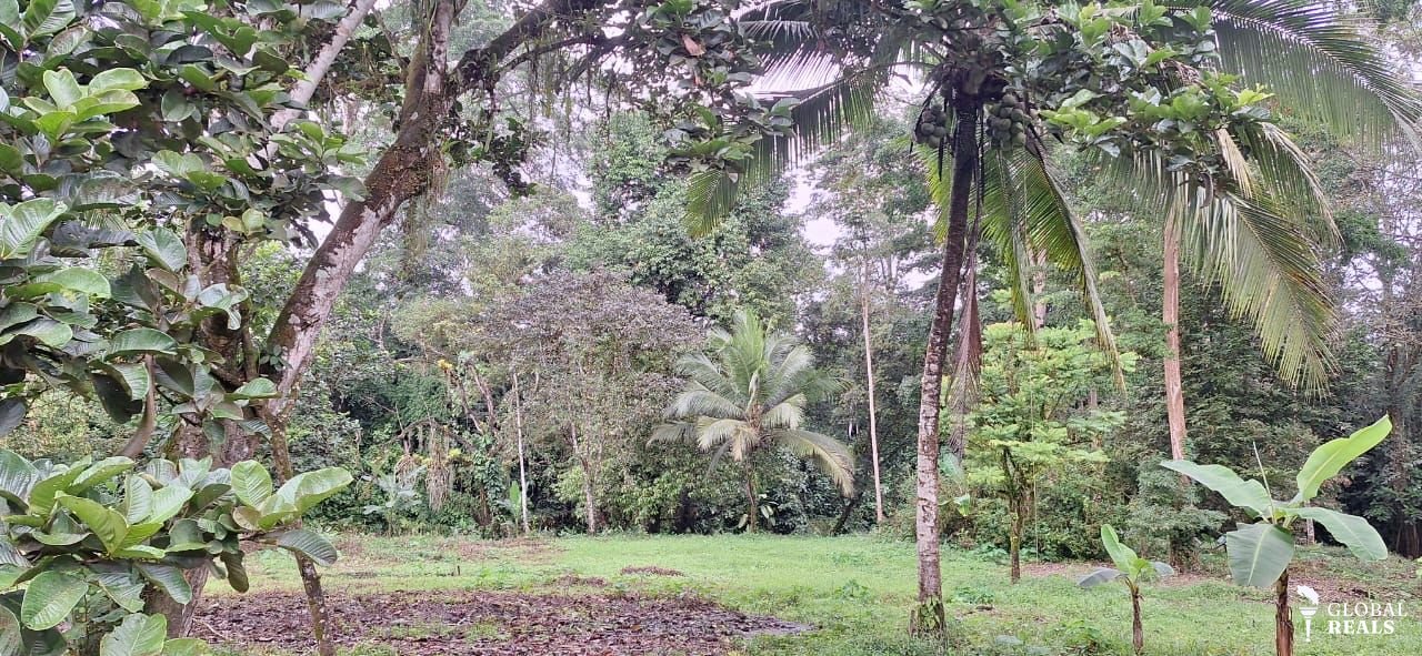 Bonita propiedad en San Rafael de Rio Cuarto