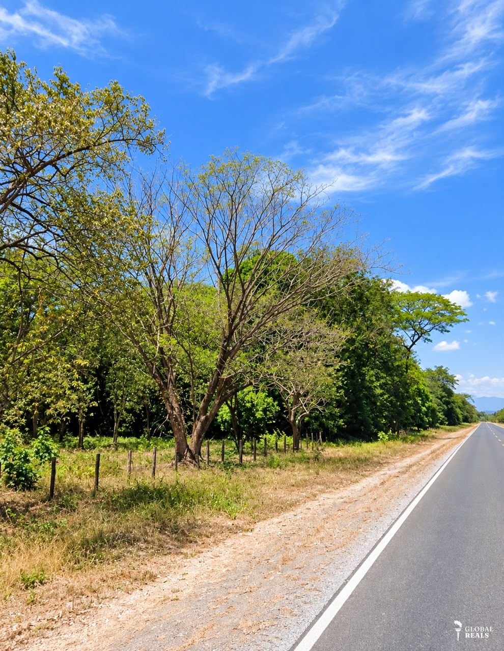 OPORTUNIDAD PARA INVERSIONISTAS | 16.880 m² SOBRE RUTA 21 📍 Belén de Carrillo, Guanacaste Costa Rica 🇨🇷