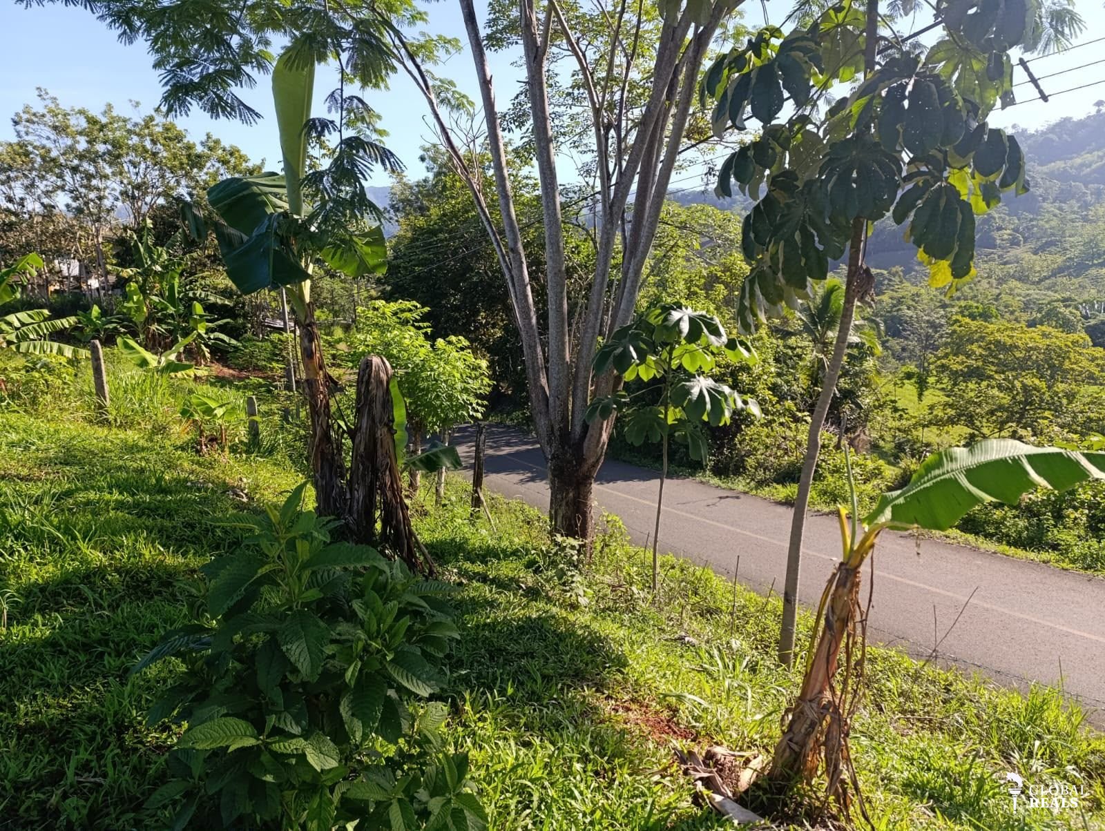 Venta 🌿 Lote en Venta – Bijagual de Parrita, Puntarenas