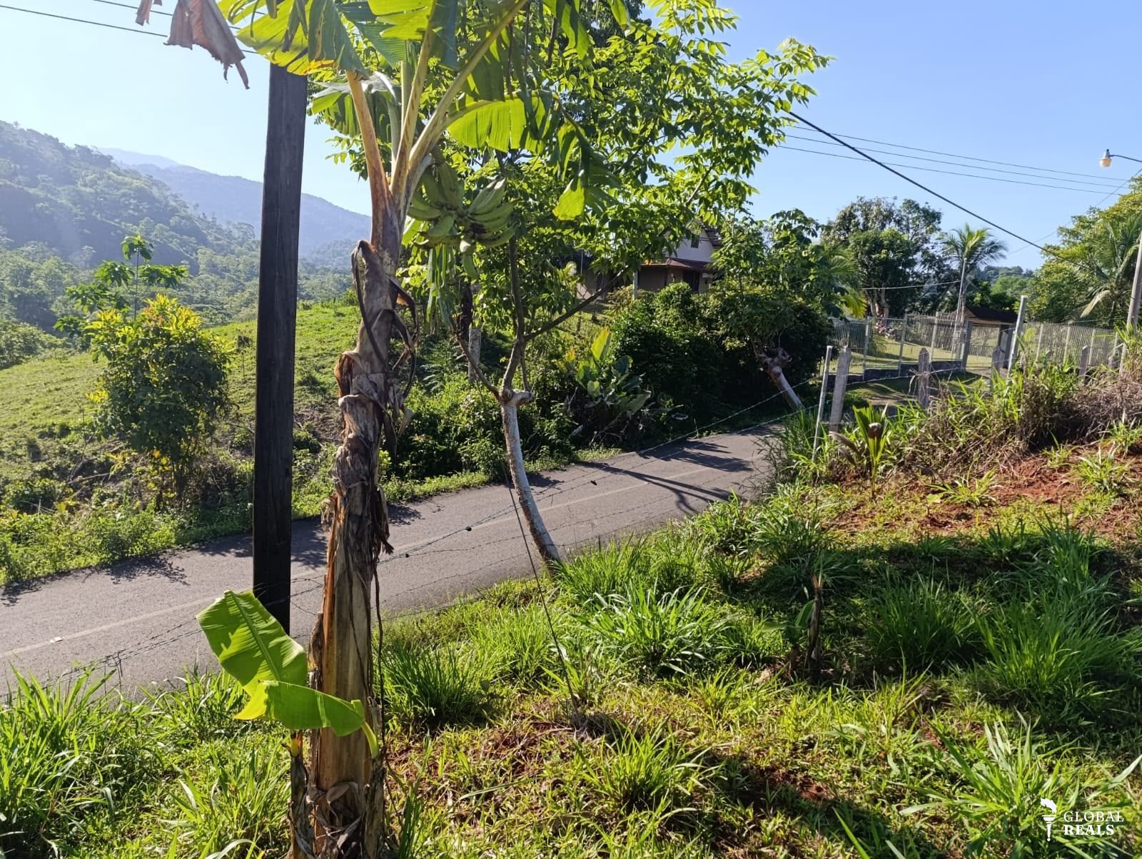 Venta 🌿 Lote en Venta – Bijagual de Parrita, Puntarenas