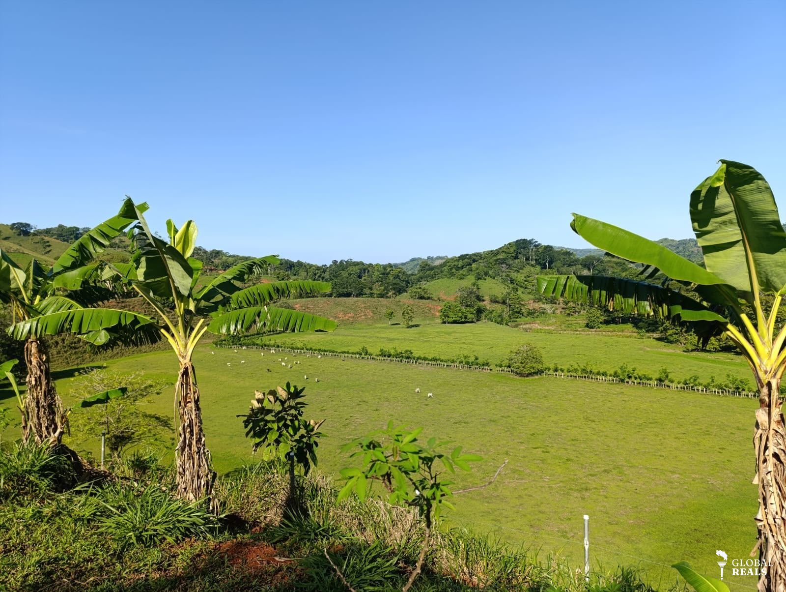 Venta 🌿 Lote en Venta – Bijagual de Parrita, Puntarenas
