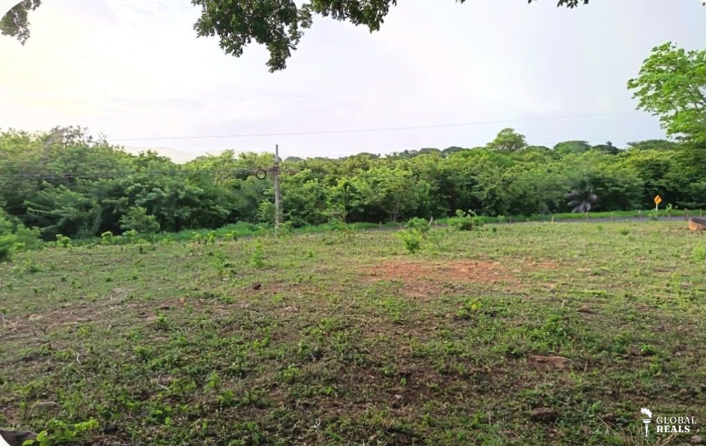 LOTE EN VENTA | LA FORTUNA, BAGACES, GUANACASTE