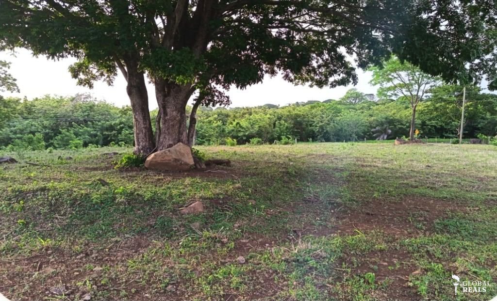 LOTE EN VENTA | LA FORTUNA, BAGACES, GUANACASTE