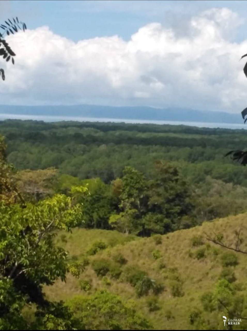 Finca Pavón y Zancudo