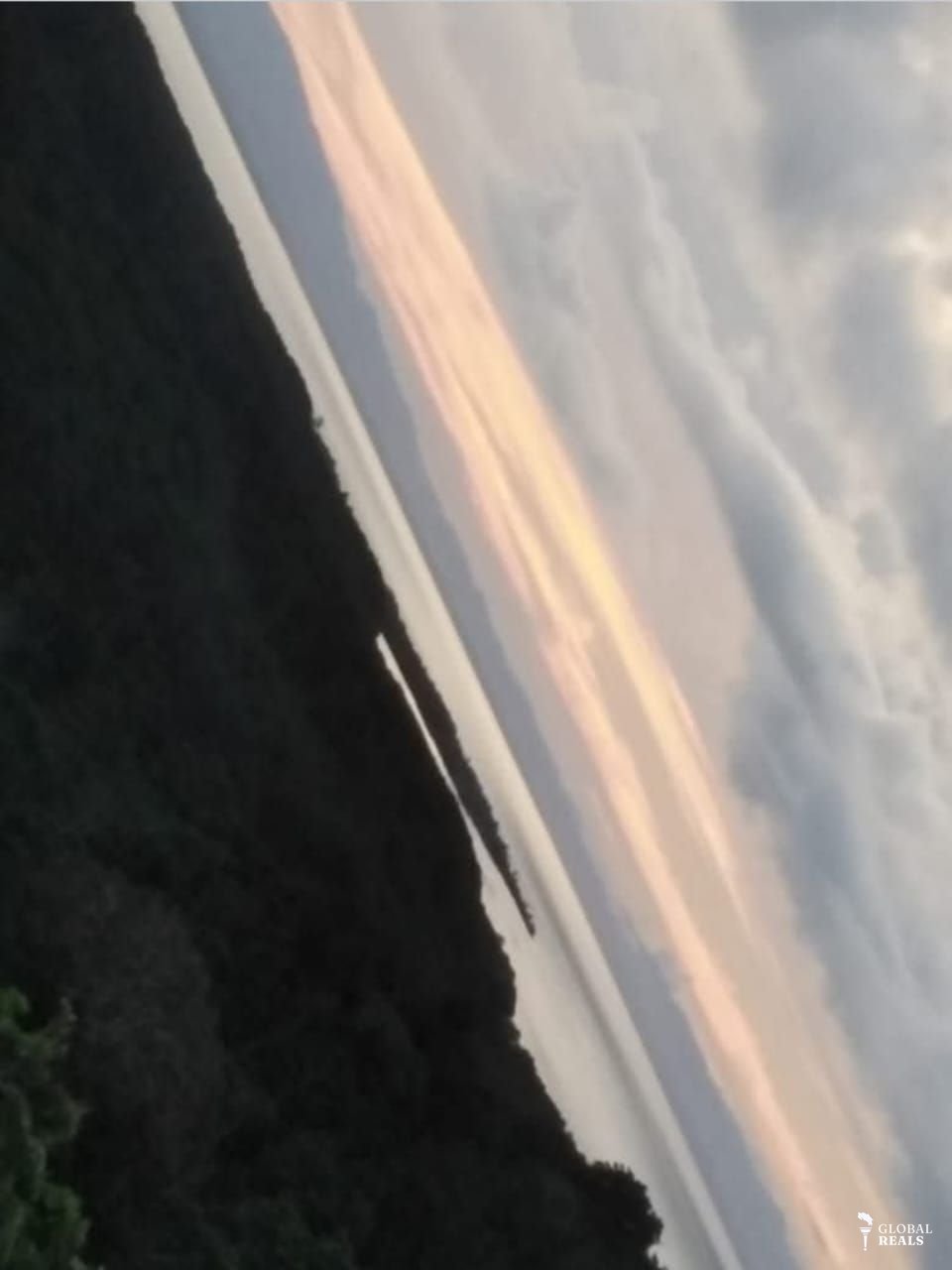 Finca Pavón y Zancudo