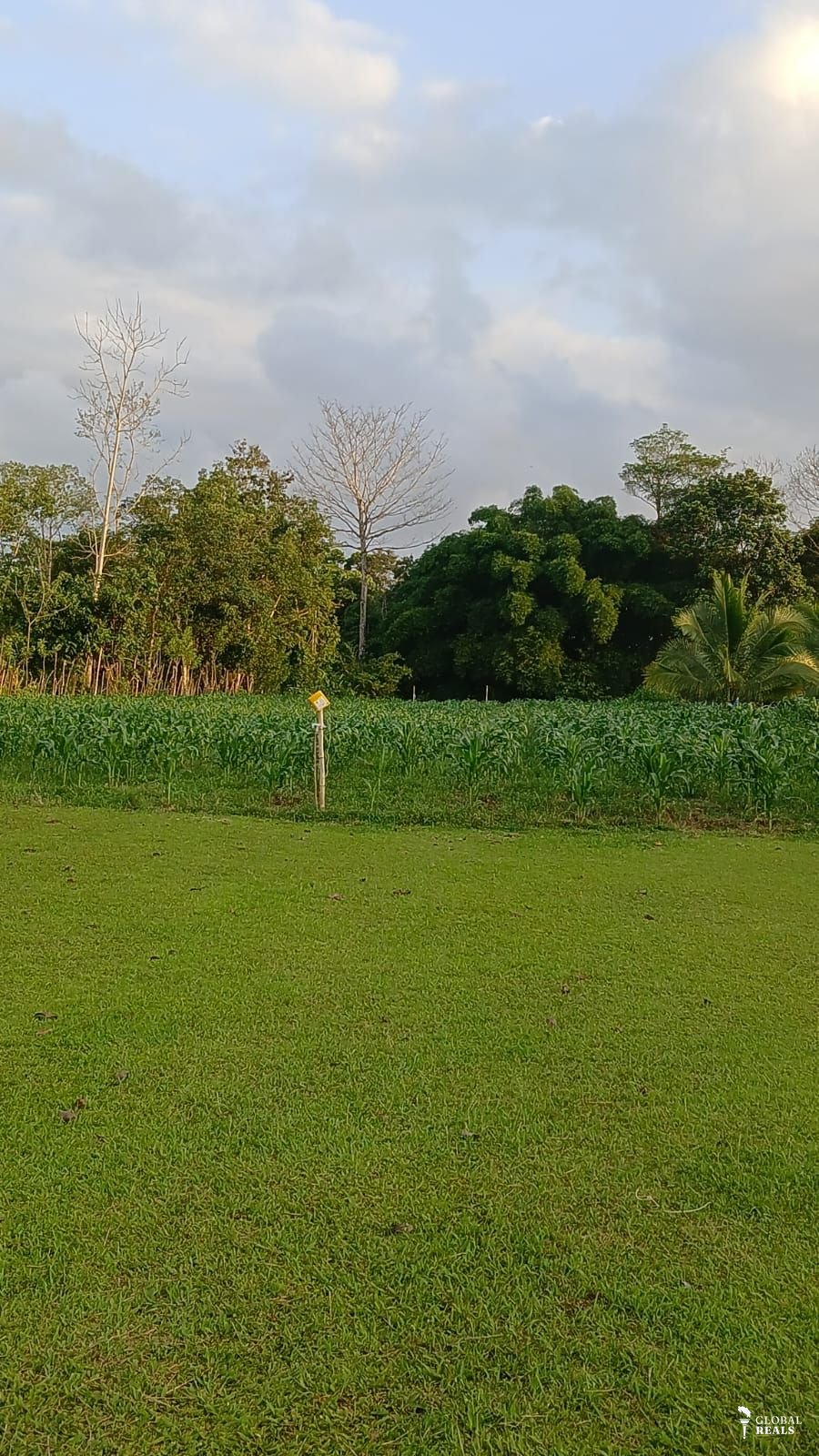 Venta Propiedad