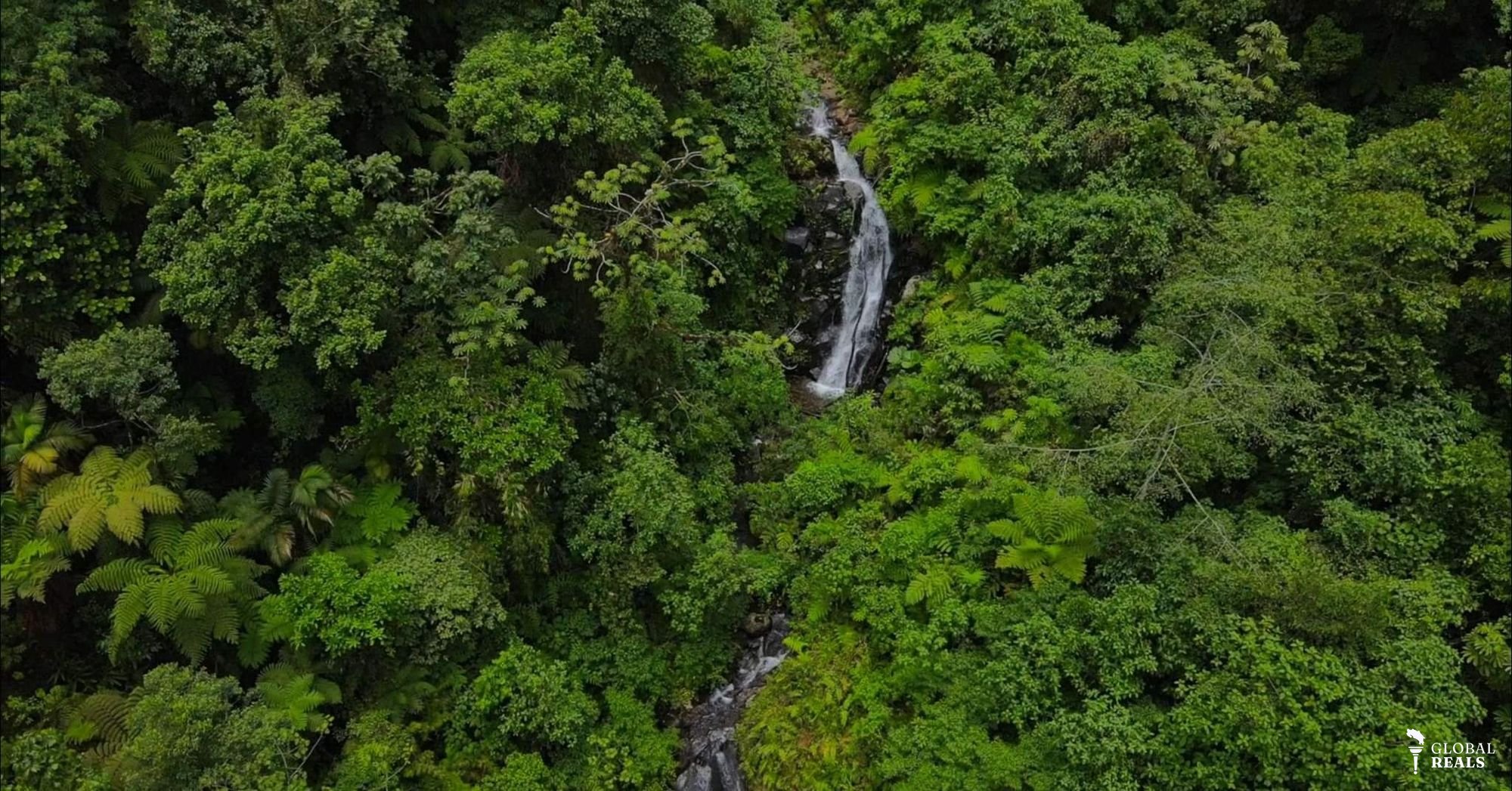 Finca con 5 cataratas