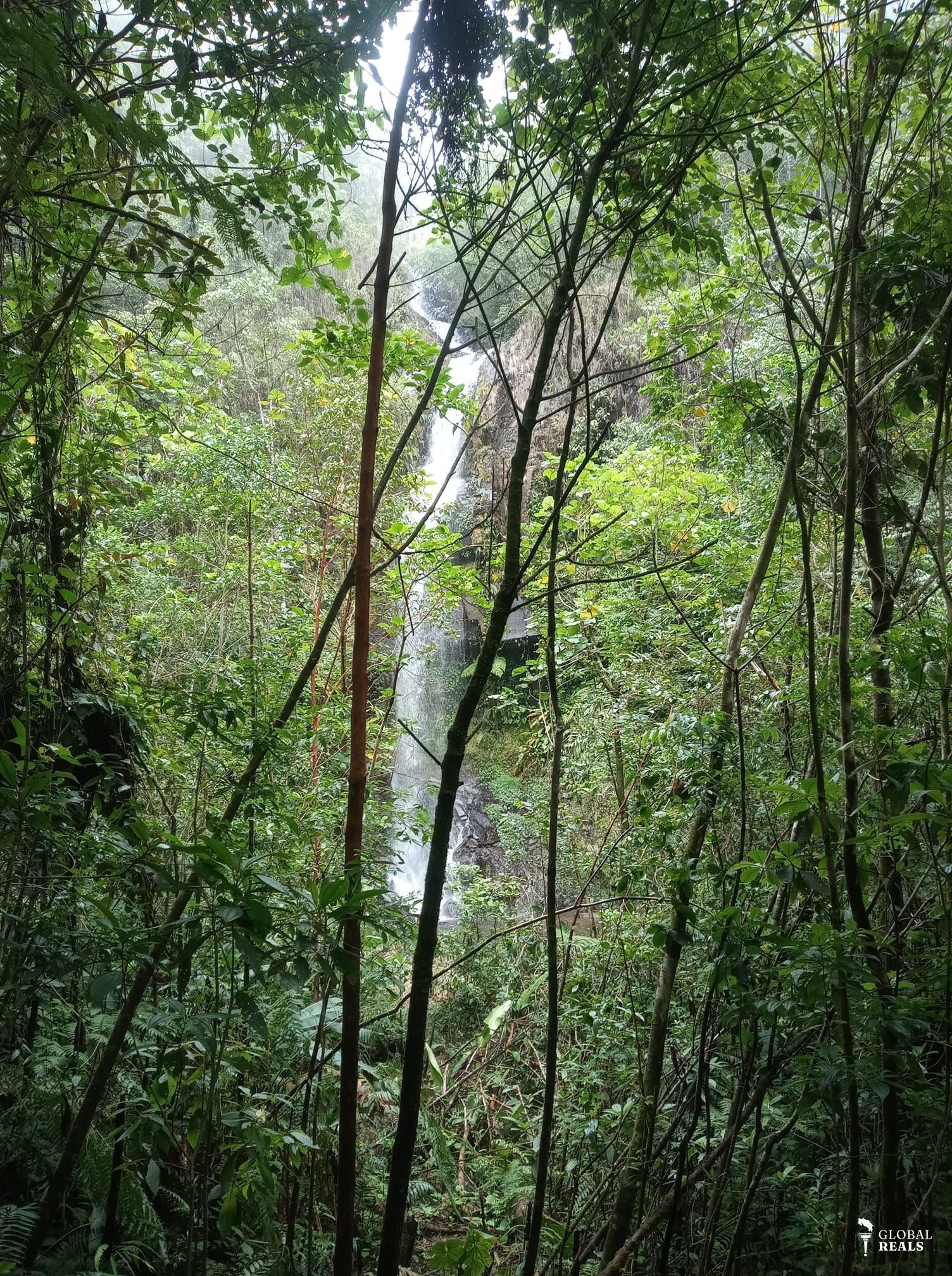 Finca con 5 cataratas