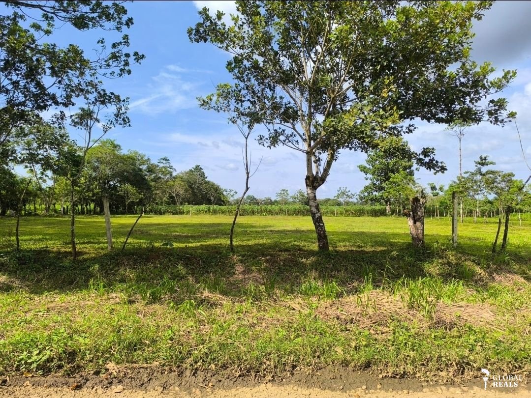 𝙇𝙊𝙏𝙀𝙎 𝙀𝙉 𝙀𝙎𝙏𝙀𝙍𝙄𝙏𝙊 🌿 📍 𝙎𝙖𝙣 𝘾𝙖𝙧𝙡𝙤𝙨, 𝘼𝙡𝙖𝙟𝙪𝙚𝙡𝙖
