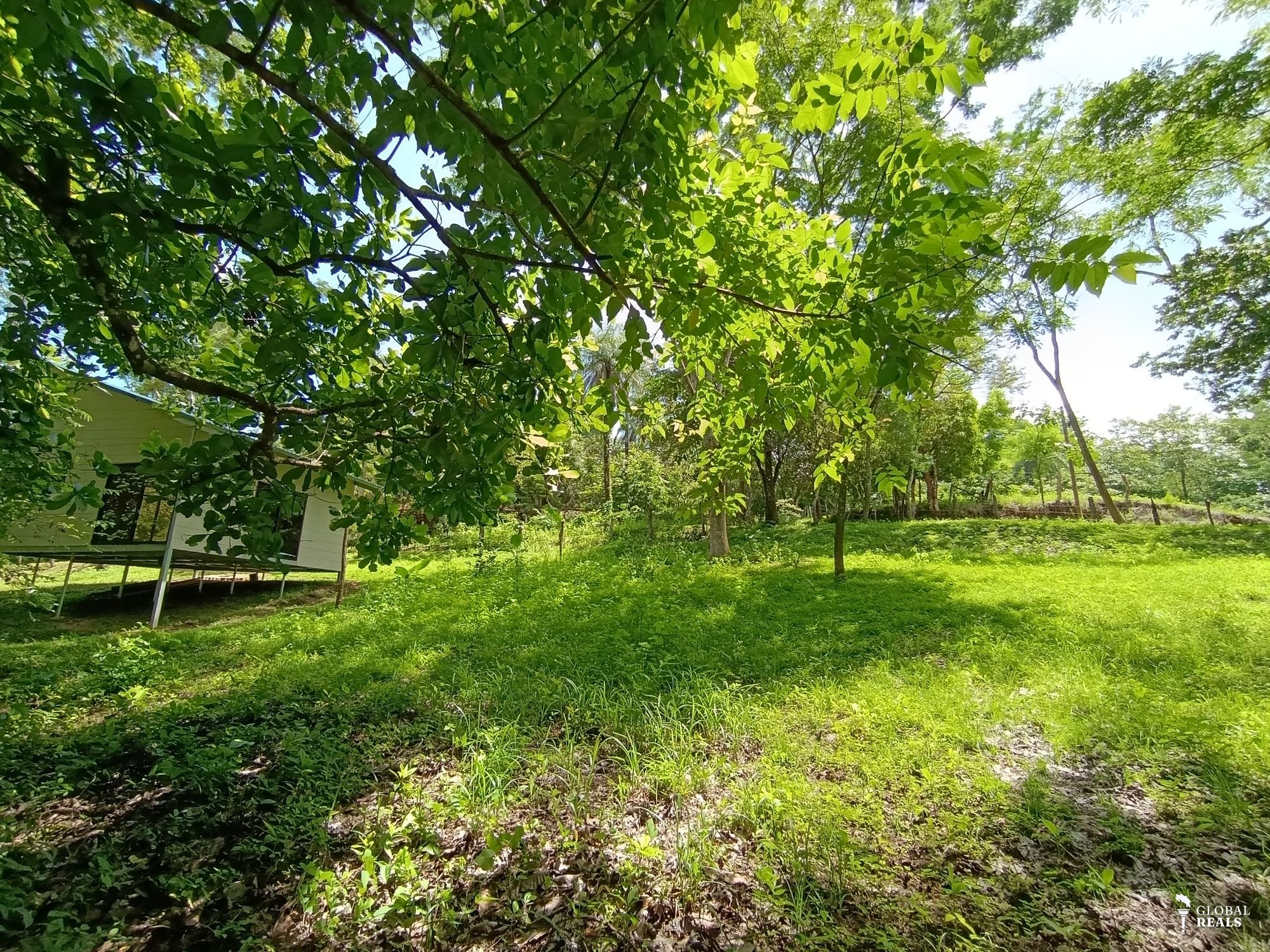 Ultimo lote de 1200 m2 con orilla de rio cerca de Nicoya!