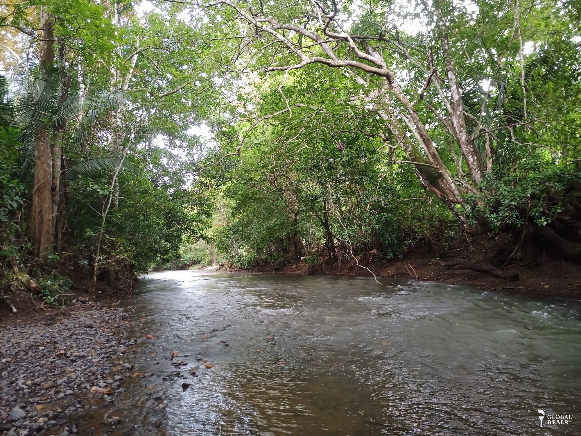 Ultimo lote de 1200 m2 con orilla de rio cerca de Nicoya!