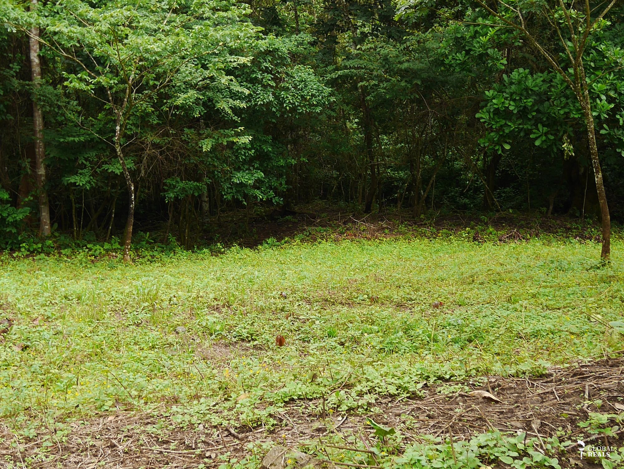 Ultimo lote de 1200 m2 con orilla de rio cerca de Nicoya!