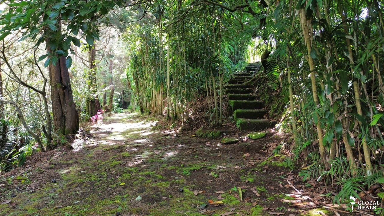 VENTA LOTE - ALAJUELA, CARRIZAL - ID144