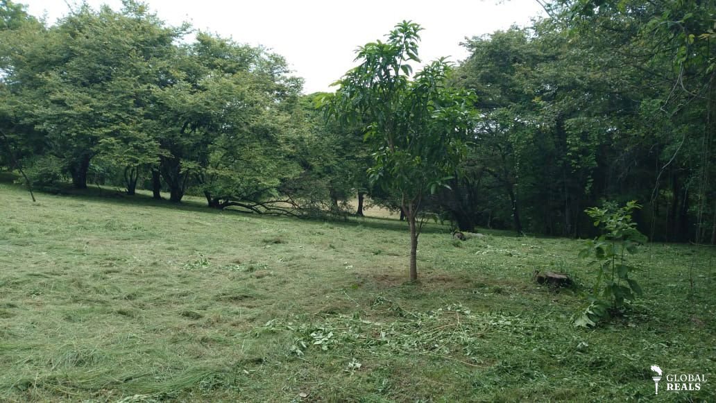 VENTA DE LOTE EN GARABITO, PUNTARENAS - ID50