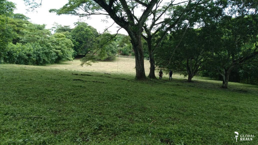 VENTA DE LOTE EN GARABITO, PUNTARENAS - ID50