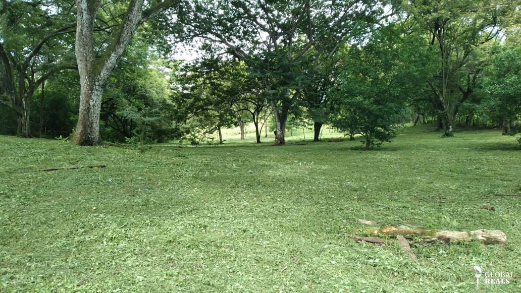 VENTA DE LOTE EN GARABITO, PUNTARENAS - ID50